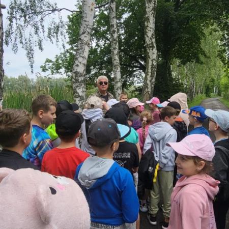Wyświetl org. rozmiar