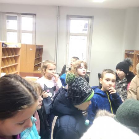 Wyświetl org. rozmiar
