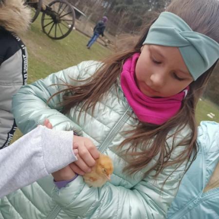 Wyświetl org. rozmiar