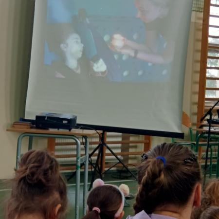 Wyświetl org. rozmiar