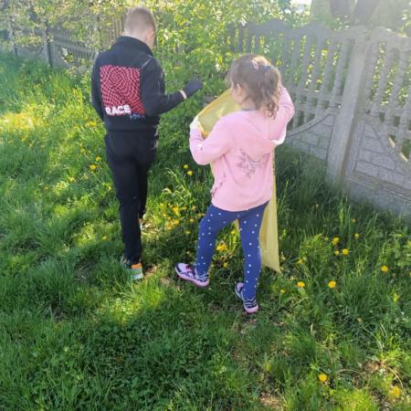 Wyświetl org. rozmiar