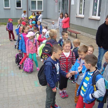 Wyświetl org. rozmiar