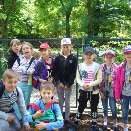 Wyświetl org. rozmiar