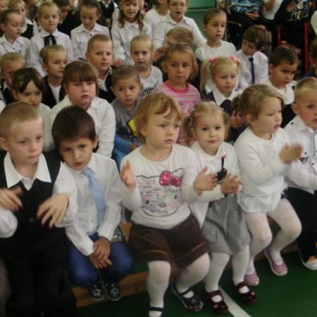 Wyświetl org. rozmiar