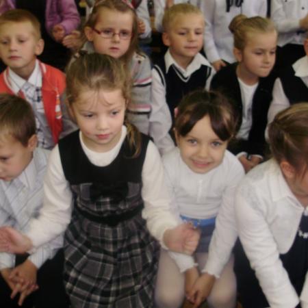 Wyświetl org. rozmiar