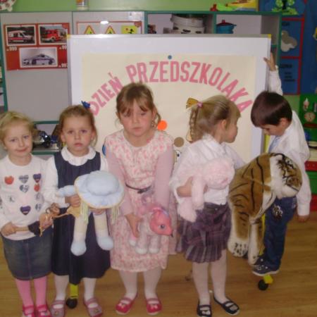 Wyświetl org. rozmiar