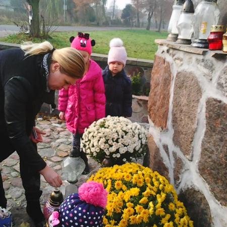 Wyświetl org. rozmiar