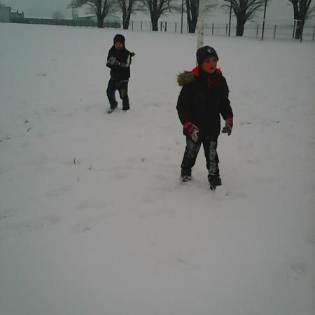 Wyświetl org. rozmiar