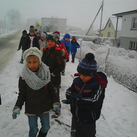 Wyświetl org. rozmiar