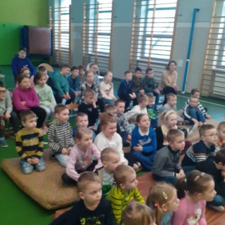 Wyświetl org. rozmiar