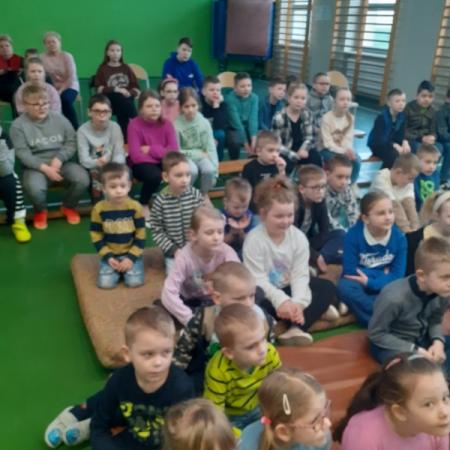 Wyświetl org. rozmiar
