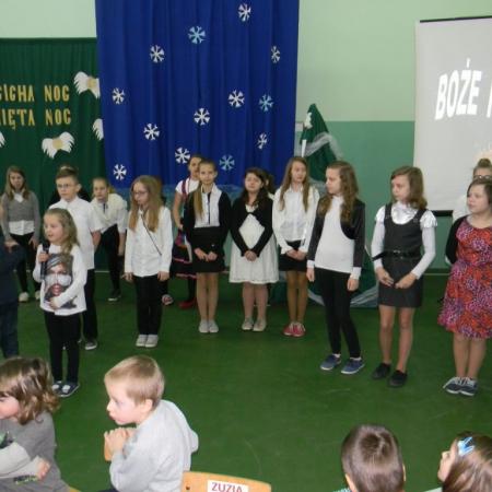 Wyświetl org. rozmiar