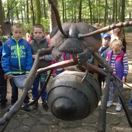 Wyświetl org. rozmiar
