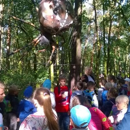 Wyświetl org. rozmiar