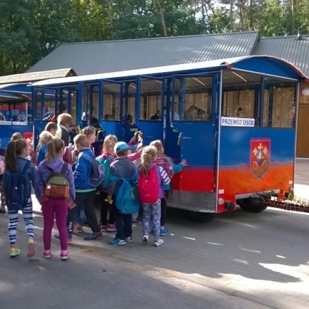 Wyświetl org. rozmiar