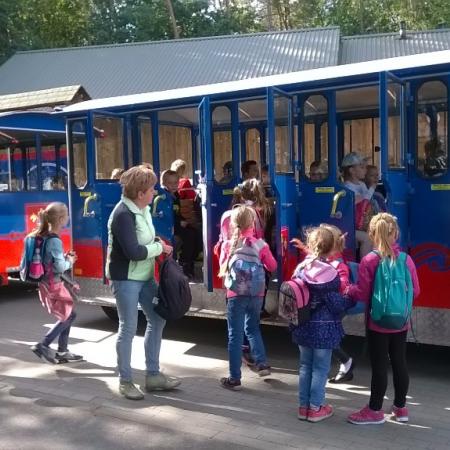 Wyświetl org. rozmiar