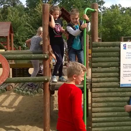 Wyświetl org. rozmiar