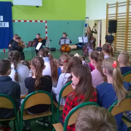 Wyświetl org. rozmiar