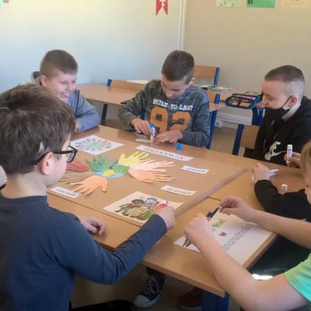 Wyświetl org. rozmiar