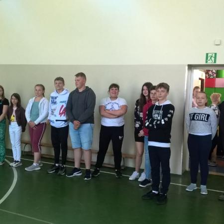 Wyświetl org. rozmiar