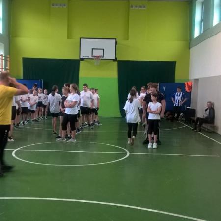 Wyświetl org. rozmiar