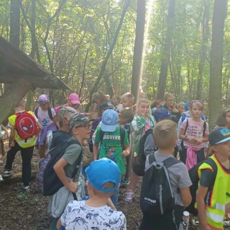Wyświetl org. rozmiar