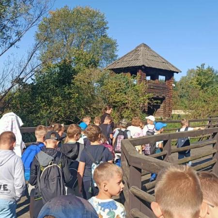 Wyświetl org. rozmiar