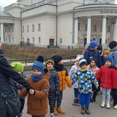 Wyświetl org. rozmiar