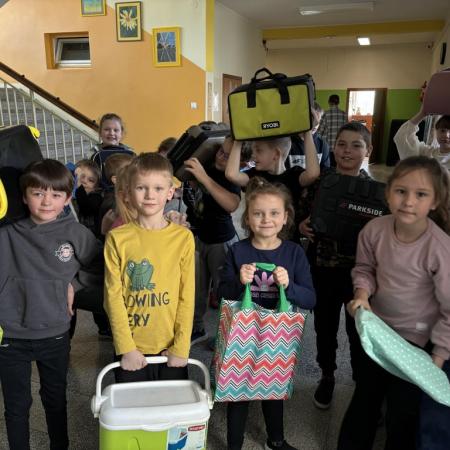 Wyświetl org. rozmiar
