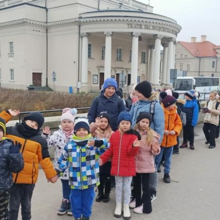 Wyświetl org. rozmiar