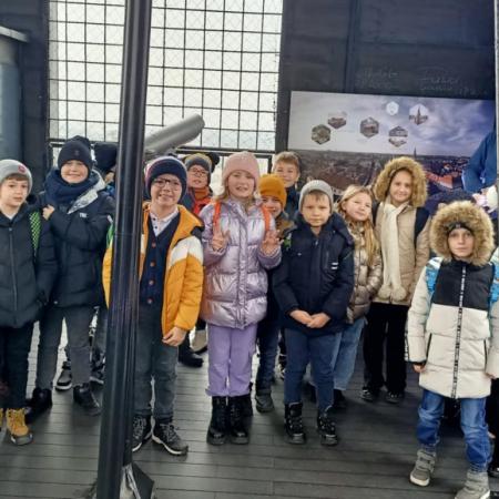 Wyświetl org. rozmiar