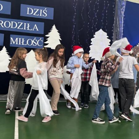 Wyświetl org. rozmiar