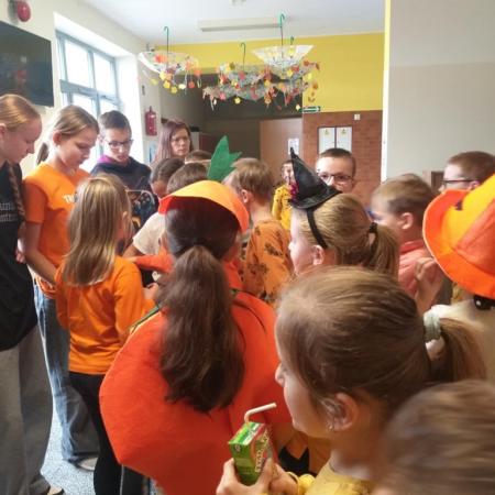 Wyświetl org. rozmiar