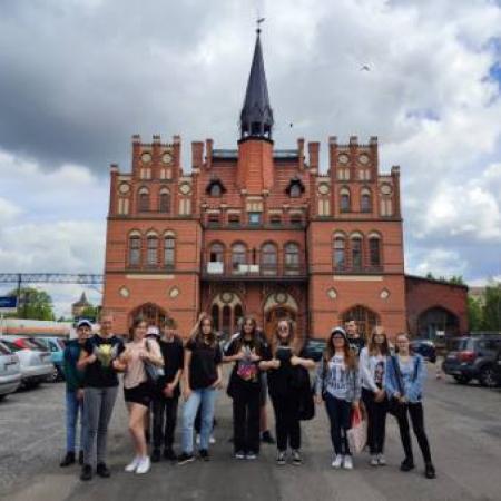 Wyświetl org. rozmiar