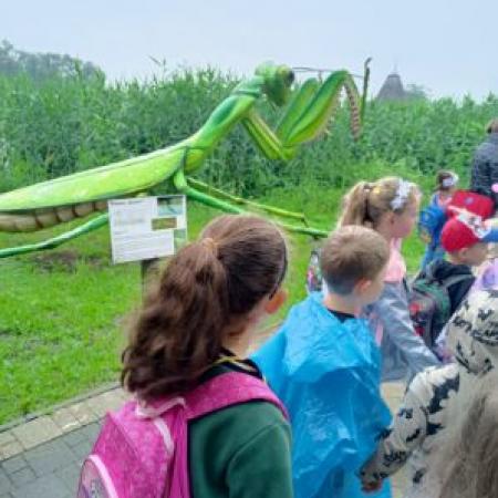 Wyświetl org. rozmiar