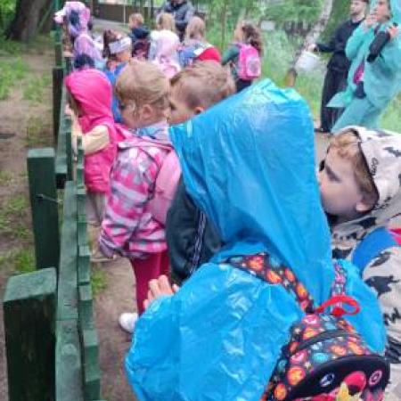 Wyświetl org. rozmiar