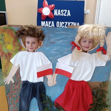Wyświetl org. rozmiar