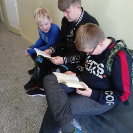 Wyświetl org. rozmiar