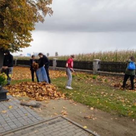 Wyświetl org. rozmiar