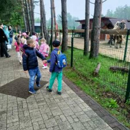 Wyświetl org. rozmiar