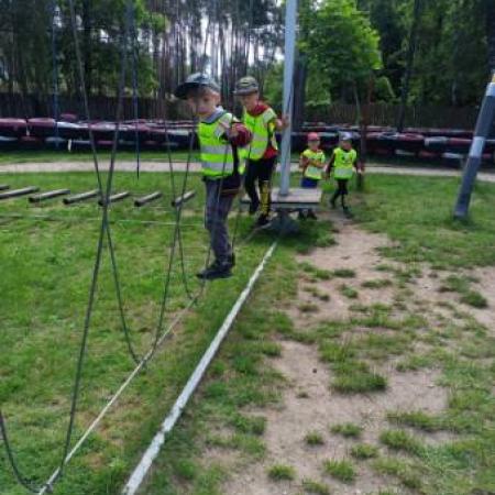 Wyświetl org. rozmiar