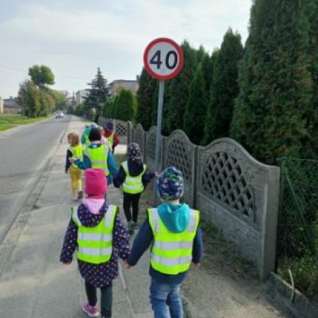 Wyświetl org. rozmiar