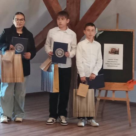 Wyświetl org. rozmiar