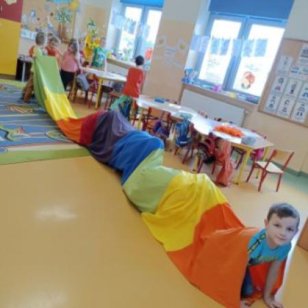Wyświetl org. rozmiar