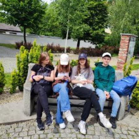 Wyświetl org. rozmiar