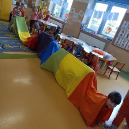 Wyświetl org. rozmiar