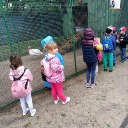Wyświetl org. rozmiar