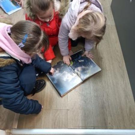 Wyświetl org. rozmiar