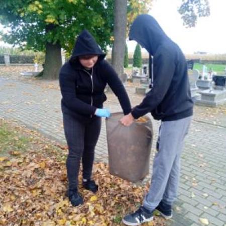 Wyświetl org. rozmiar