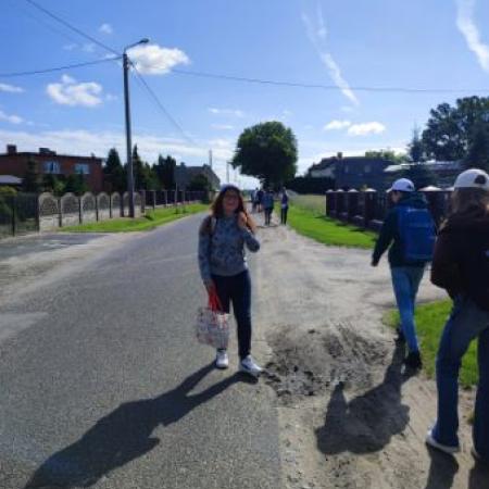 Wyświetl org. rozmiar